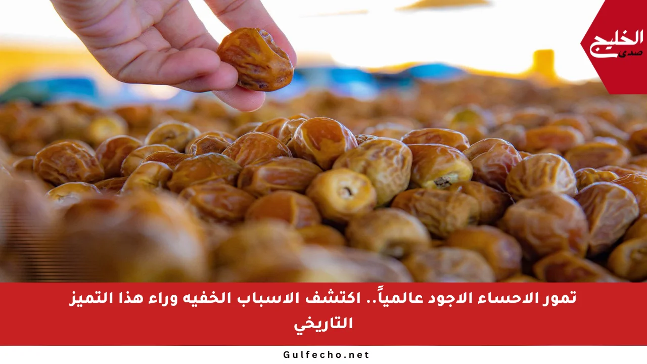 تمور الأحساء الأجود عالمياً.. اكتشف الأسباب الخفية وراء هذا التميز التاريخي